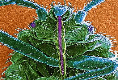 PC游戏秀：后启示录求生《我是未来》预告片分享